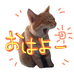 [LINEスタンプ] 大好きペット1