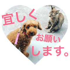 [LINEスタンプ] 愛犬レイバック＆フレンズ