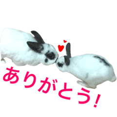 [LINEスタンプ] がじらと仲間たちスタンプ