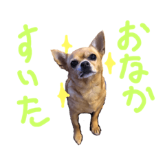 [LINEスタンプ] しょぼ＆ひな