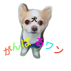 [LINEスタンプ] エルやん