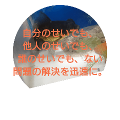 [LINEスタンプ] 悟った金魚ver2