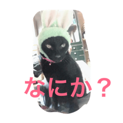 [LINEスタンプ] タンタンのスタンプ！