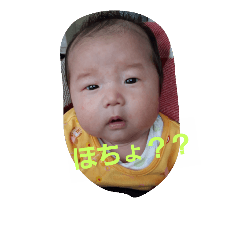 [LINEスタンプ] はやたんのスタンプ