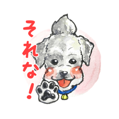 [LINEスタンプ] 関西弁のもひかん犬