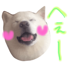 [LINEスタンプ] 北海道犬の凜ちゃん♡ 5