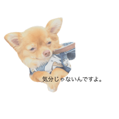 [LINEスタンプ] こむぎンプ