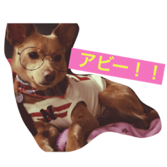 [LINEスタンプ] 忠犬アビー！