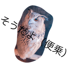 [LINEスタンプ] ふくろう 蛇足