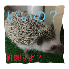 [LINEスタンプ] ハリネズミゆずのスタンプ3