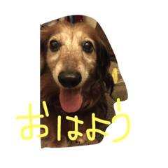 [LINEスタンプ] ももとさくら