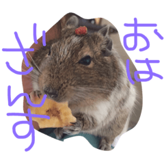 [LINEスタンプ] まうすざんす 1