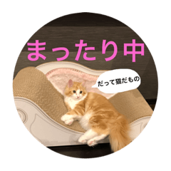 [LINEスタンプ] シェリーくん5