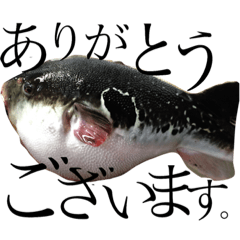 [LINEスタンプ] 魚屋