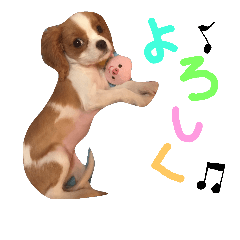 [LINEスタンプ] ゆずでっせ！