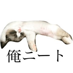 [LINEスタンプ] ふてねのすたんぷ