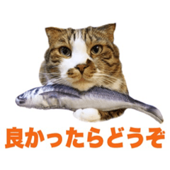 [LINEスタンプ] こまこたこゆこてきなこ