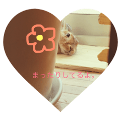 [LINEスタンプ] うさぎのおもち