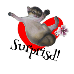 [LINEスタンプ] こねこ☆すたんぷ  1