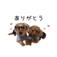 [LINEスタンプ] ふじ＆らふ