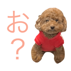 [LINEスタンプ] ミルクティーミントアイス