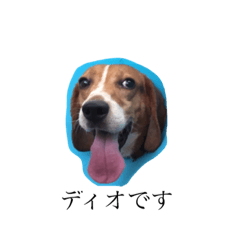 [LINEスタンプ] ディオスタンプ