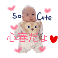 [LINEスタンプ] 心春 スタンプ