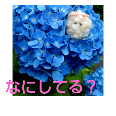 [LINEスタンプ] お花ポンポン