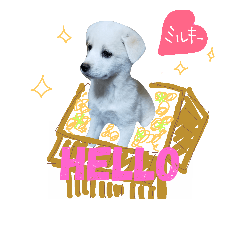 [LINEスタンプ] ミルキー ペット