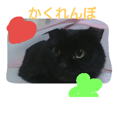 [LINEスタンプ] 黒猫まんじゅう