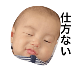 [LINEスタンプ] 新しいやつ