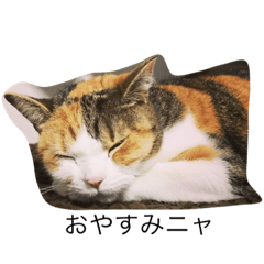 [LINEスタンプ] 藤田家のグミ