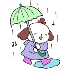 [LINEスタンプ] シーズー犬日常会話3☆雨の日の画像（メイン）