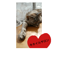 [LINEスタンプ] ねこの金太郎