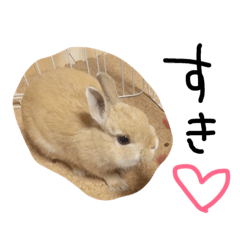 [LINEスタンプ] かわいいきびちゃんをスタンプにしました。