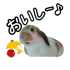 [LINEスタンプ] うさぎの麦と犬のさくら