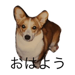 [LINEスタンプ] 犬とうさぎの一日