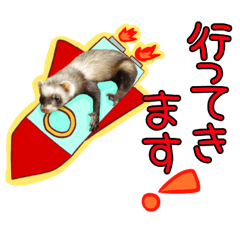 [LINEスタンプ] フェレット 家族で使える