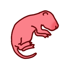 [LINEスタンプ] かわいいピンクマウス