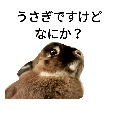 [LINEスタンプ] リアルさだはるくん