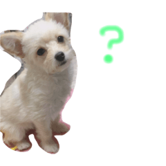 [LINEスタンプ] 愛犬❤愛ちゃん