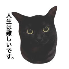 [LINEスタンプ] にゃー厭日記