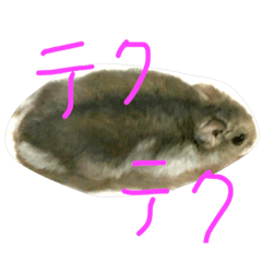 [LINEスタンプ] ハムスターゆず