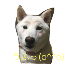 [LINEスタンプ] アズサン