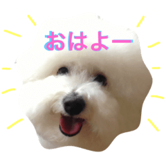 [LINEスタンプ] リーです