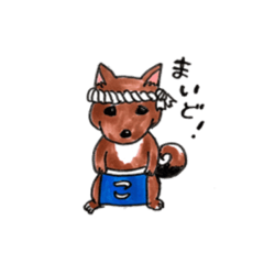 [LINEスタンプ] 柴犬KORO