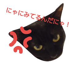 [LINEスタンプ] くろにゃんすたんぷ