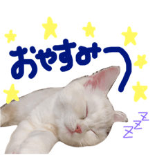 [LINEスタンプ] みるくスタンプ1