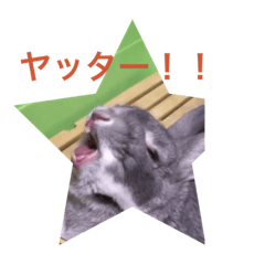 [LINEスタンプ] ウサギのニコマーク