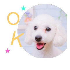 [LINEスタンプ] ぶさかわ犬♡